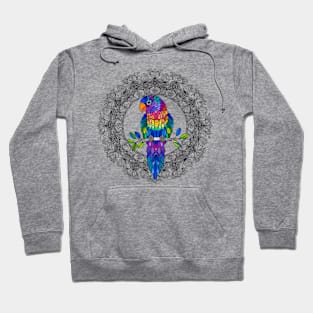 Rainbow Bird Hoodie